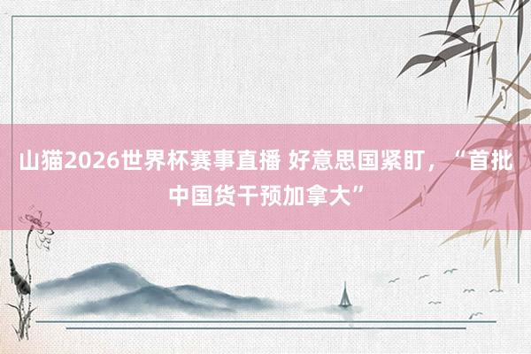 山猫2026世界杯赛事直播 好意思国紧盯，“首批中国货干预加拿大”