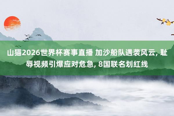 山猫2026世界杯赛事直播 加沙船队遇袭风云, 耻辱视频引爆应对危急, 8国联名划红线