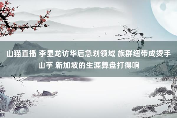 山猫直播 李显龙访华后急划领域 族群纽带成烫手山芋 新加坡的生涯算盘打得响