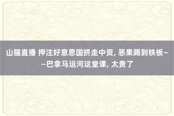 山猫直播 押注好意思国挤走中资, 恶果踢到铁板——巴拿马运河这堂课, 太贵了