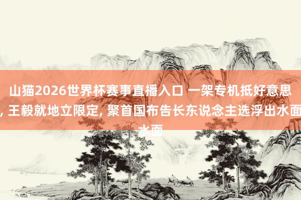 山猫2026世界杯赛事直播入口 一架专机抵好意思, 王毅就地立限定, 聚首国布告长东说念主选浮出水面