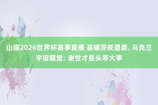山猫2026世界杯赛事直播 基辅深夜遭袭, 乌克兰宇宙醒觉: 谢世才是头等大事
