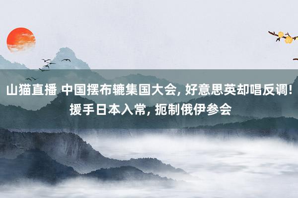 山猫直播 中国摆布辘集国大会, 好意思英却唱反调! 援手日本入常, 扼制俄伊参会