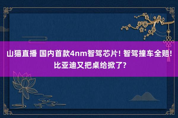 山猫直播 国内首款4nm智驾芯片! 智驾撞车全赔! 比亚迪又把桌给掀了?