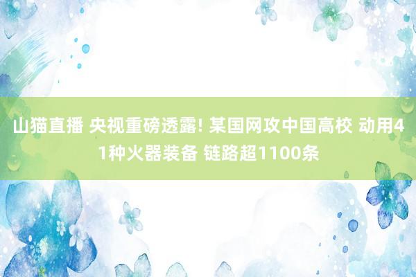 山猫直播 央视重磅透露! 某国网攻中国高校 动用41种火器装备 链路超1100条