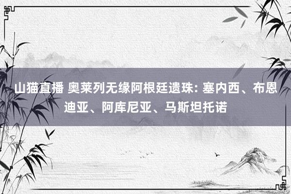 山猫直播 奥莱列无缘阿根廷遗珠: 塞内西、布恩迪亚、阿库尼亚、马斯坦托诺