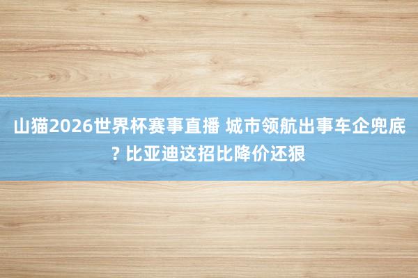 山猫2026世界杯赛事直播 城市领航出事车企兜底? 比亚迪这招比降价还狠