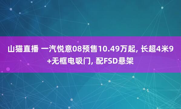 山猫直播 一汽悦意08预售10.49万起, 长超4米9+无框电吸门, 配FSD悬架