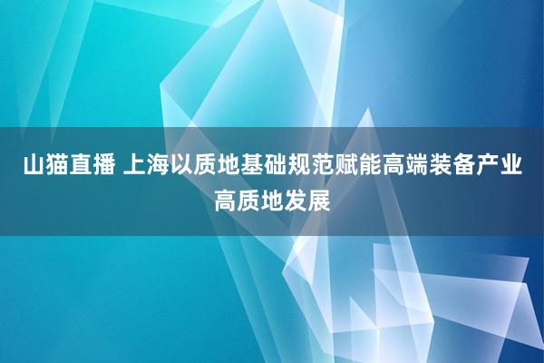 山猫直播 上海以质地基础规范赋能高端装备产业高质地发展