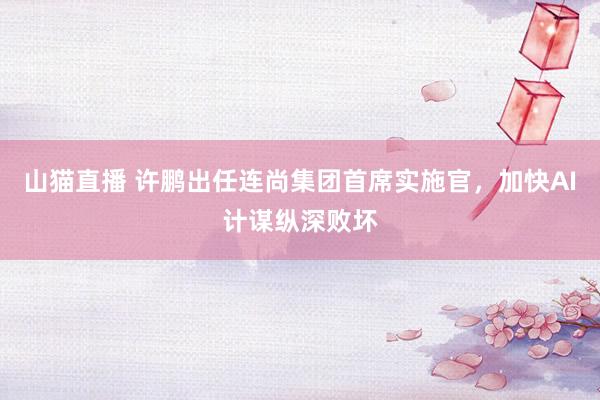 山猫直播 许鹏出任连尚集团首席实施官，加快AI计谋纵深败坏
