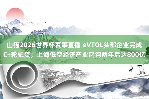 山猫2026世界杯赛事直播 eVTOL头部企业完成C+轮融资，上海低空经济产业鸿沟两年后达800亿