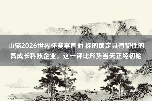 山猫2026世界杯赛事直播 标的锁定具有韧性的高成长科技企业，这一评比形势当天正经初始