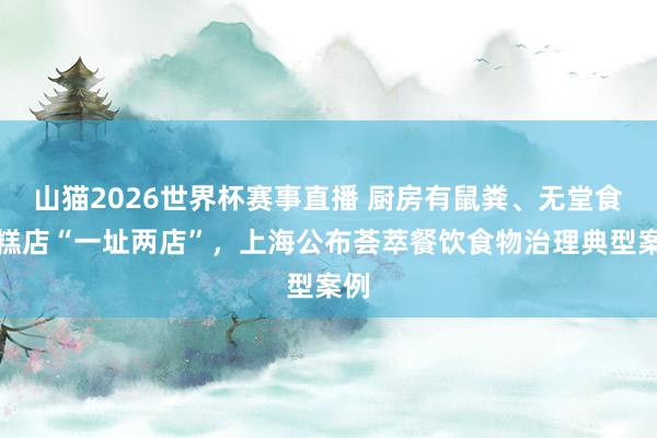 山猫2026世界杯赛事直播 厨房有鼠粪、无堂食蛋糕店“一址两店”，上海公布荟萃餐饮食物治理典型案例