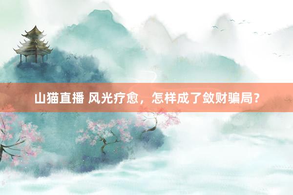 山猫直播 风光疗愈，怎样成了敛财骗局？