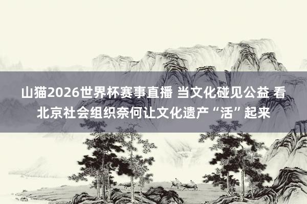山猫2026世界杯赛事直播 当文化碰见公益 看北京社会组织奈何让文化遗产“活”起来