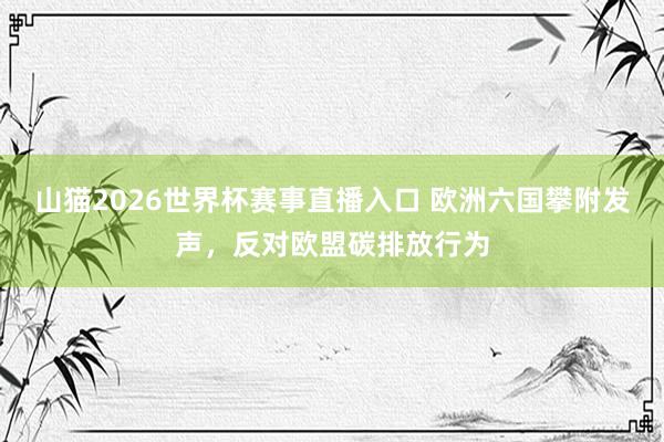 山猫2026世界杯赛事直播入口 欧洲六国攀附发声，反对欧盟碳排放行为