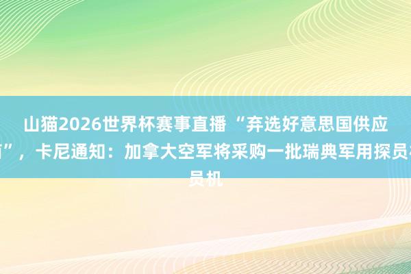 山猫2026世界杯赛事直播 “弃选好意思国供应商”，卡尼通知：加拿大空军将采购一批瑞典军用探员机