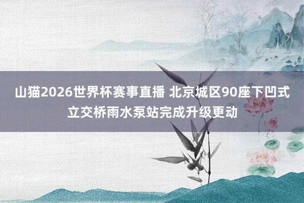 山猫2026世界杯赛事直播 北京城区90座下凹式立交桥雨水泵站完成升级更动