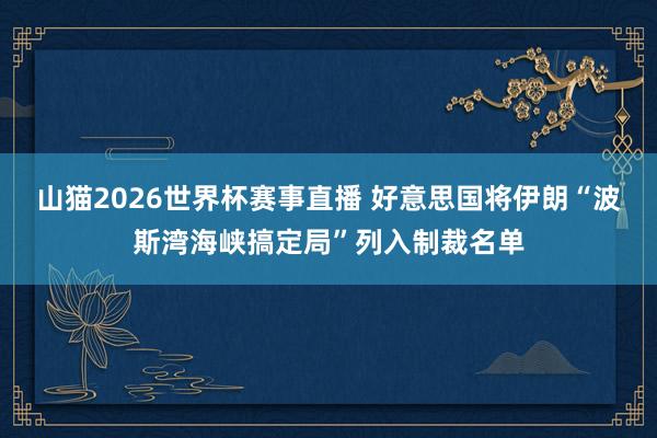 山猫2026世界杯赛事直播 好意思国将伊朗“波斯湾海峡搞定局”列入制裁名单