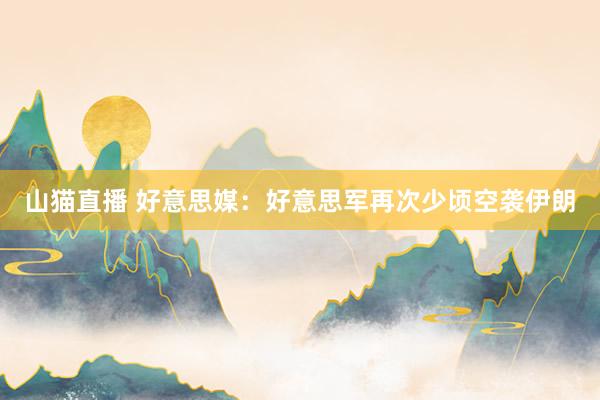 山猫直播 好意思媒：好意思军再次少顷空袭伊朗