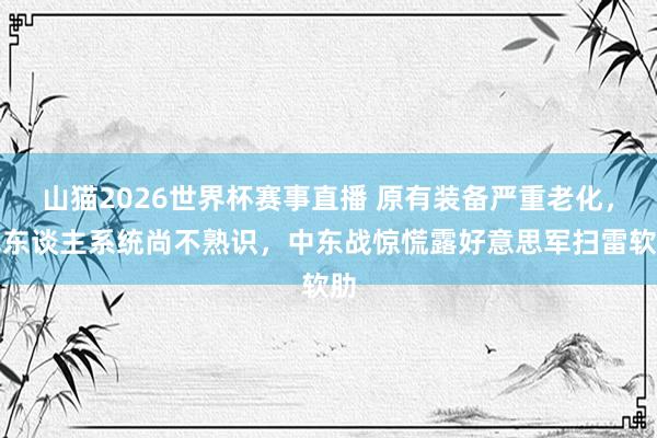山猫2026世界杯赛事直播 原有装备严重老化，无东谈主系统尚不熟识，中东战惊慌露好意思军扫雷软肋