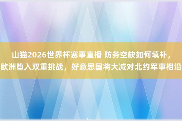 山猫2026世界杯赛事直播 防务空缺如何填补，欧洲堕入双重挑战，好意思国将大减对北约军事相沿