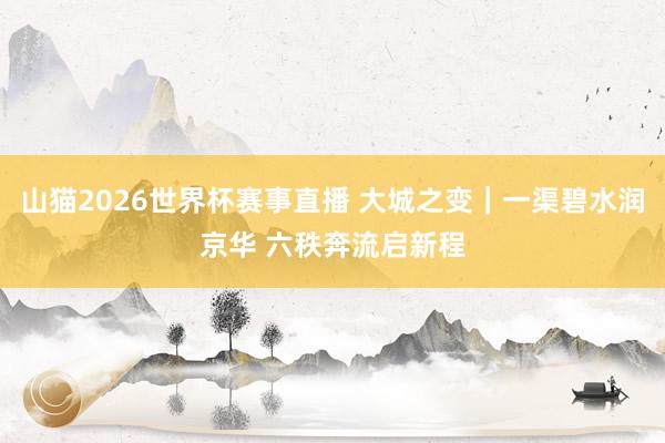 山猫2026世界杯赛事直播 大城之变｜一渠碧水润京华 六秩奔流启新程