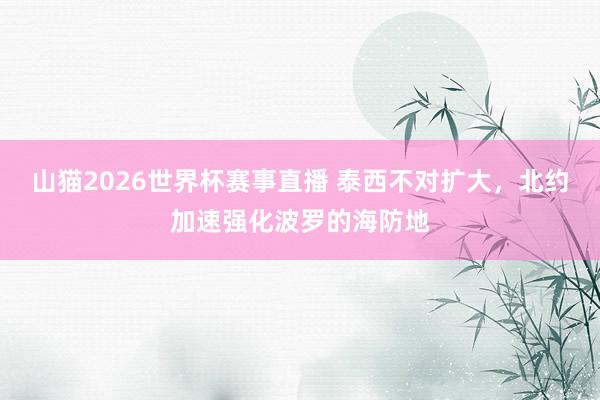 山猫2026世界杯赛事直播 泰西不对扩大，北约加速强化波罗的海防地