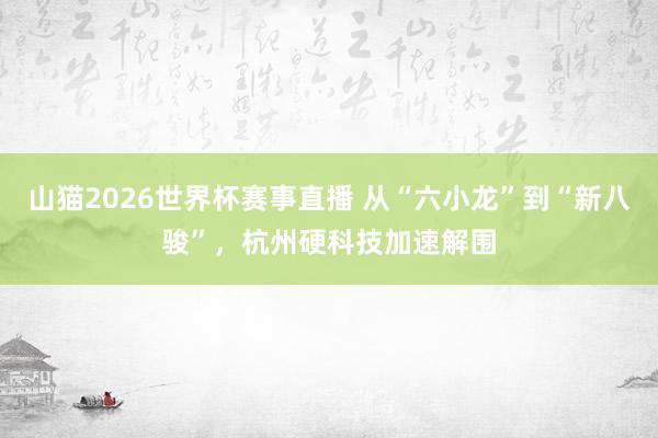 山猫2026世界杯赛事直播 从“六小龙”到“新八骏”，杭州硬科技加速解围