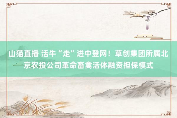 山猫直播 活牛“走”进中登网！草创集团所属北京农投公司革命畜禽活体融资担保模式