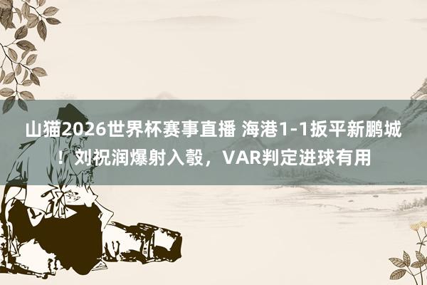 山猫2026世界杯赛事直播 海港1-1扳平新鹏城！刘祝润爆射入彀，VAR判定进球有用