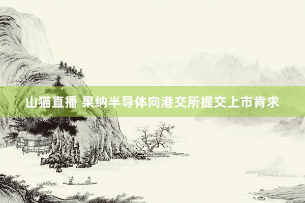 山猫直播 果纳半导体向港交所提交上市肯求
