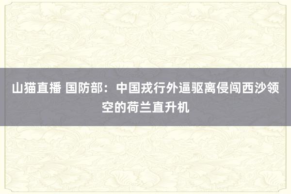 山猫直播 国防部：中国戎行外逼驱离侵闯西沙领空的荷兰直升机