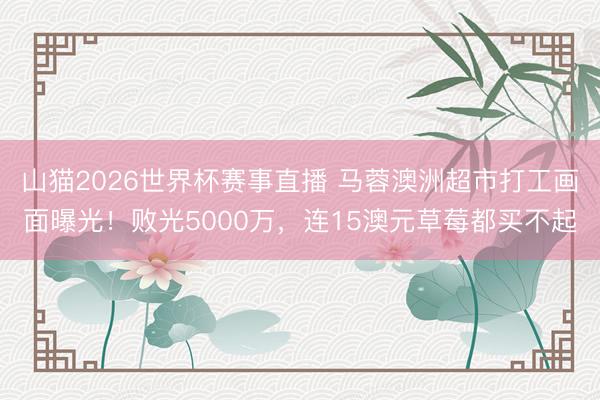 山猫2026世界杯赛事直播 马蓉澳洲超市打工画面曝光！败光5000万，连15澳元草莓都买不起