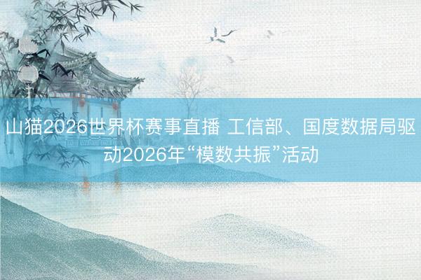 山猫2026世界杯赛事直播 工信部、国度数据局驱动2026年“模数共振”活动