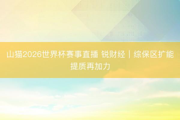 山猫2026世界杯赛事直播 锐财经|综保区扩能提质再加力