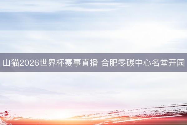 山猫2026世界杯赛事直播 合肥零碳中心名堂开园