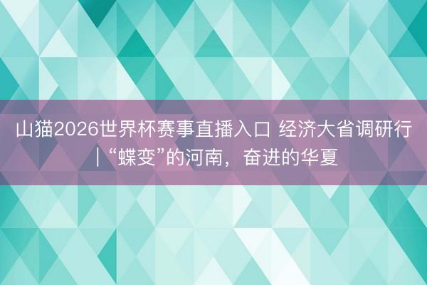 山猫2026世界杯赛事直播入口 经济大省调研行|“蝶变”的河南,奋进的华夏