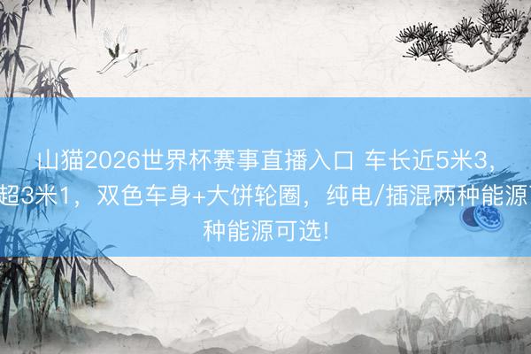 山猫2026世界杯赛事直播入口 车长近5米3，轴距超3米1，双色车身+大饼轮圈，纯电/插混两种能源可选!