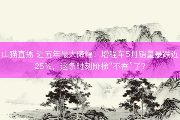 山猫直播 近五年最大降幅！增程车5月销量暴跌近25%，这条时刻阶梯“不香”了？