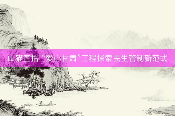 山猫直播 “爱心甘肃”工程探索民生管制新范式