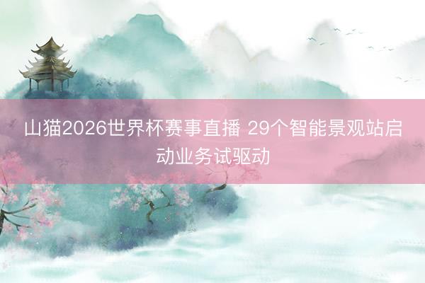 山猫2026世界杯赛事直播 29个智能景观站启动业务试驱动