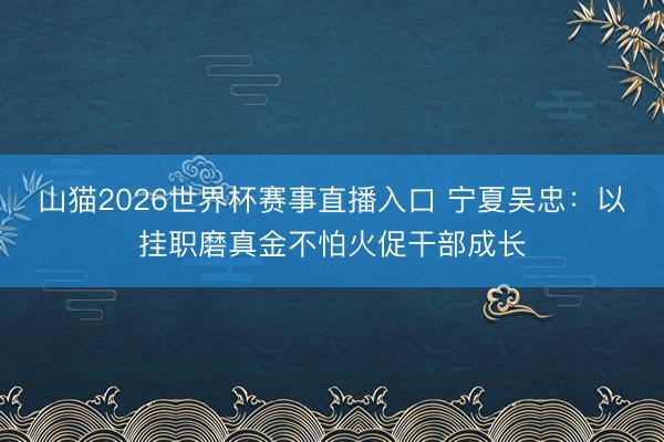 山猫2026世界杯赛事直播入口 宁夏吴忠：以挂职磨真金不怕火促干部成长