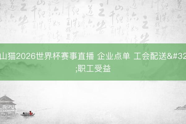 山猫2026世界杯赛事直播 企业点单 工会配送 职工受益