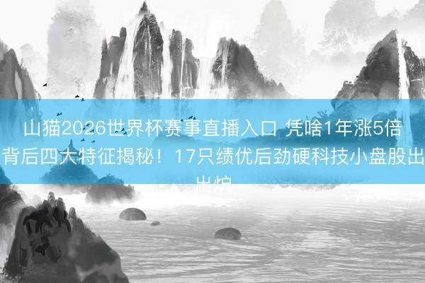 山猫2026世界杯赛事直播入口 凭啥1年涨5倍？背后四大特征揭秘！17只绩优后劲硬科技小盘股出炉