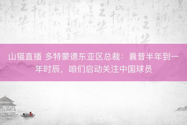 山猫直播 多特蒙德东亚区总裁:曩昔半年到一年时辰,咱们启动关注中国球员